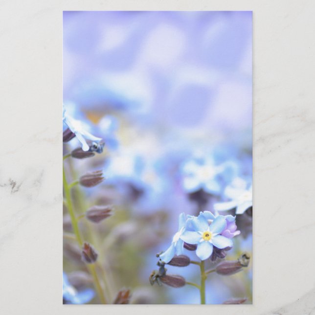 Dream i Blue Brevpapper (Framsida)