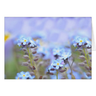 Dream i Blue Hälsningskort
