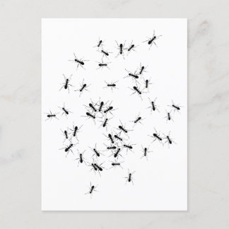 Dream-jobbet utförs av ett team vykort