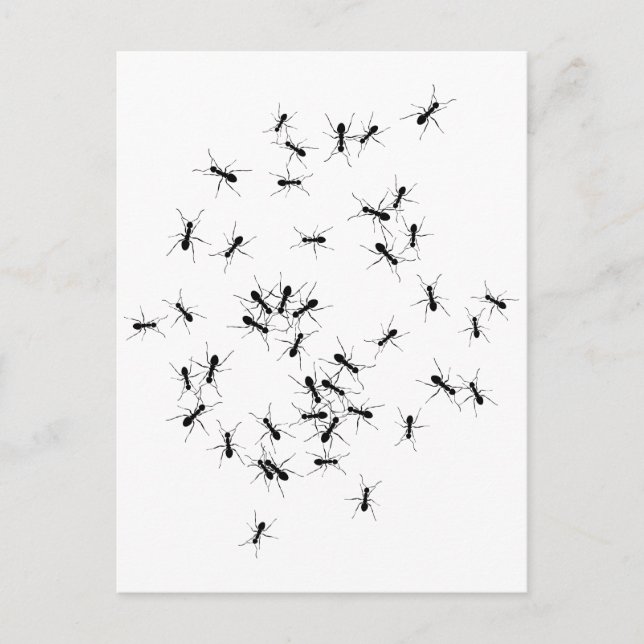 Dream-jobbet utförs av ett team vykort (Framsida)