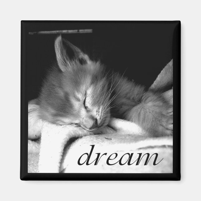 Dream Kitten - Magnet (Framsidan)