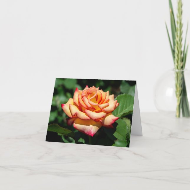 Dream Kom True Ro Kort (Framsida)