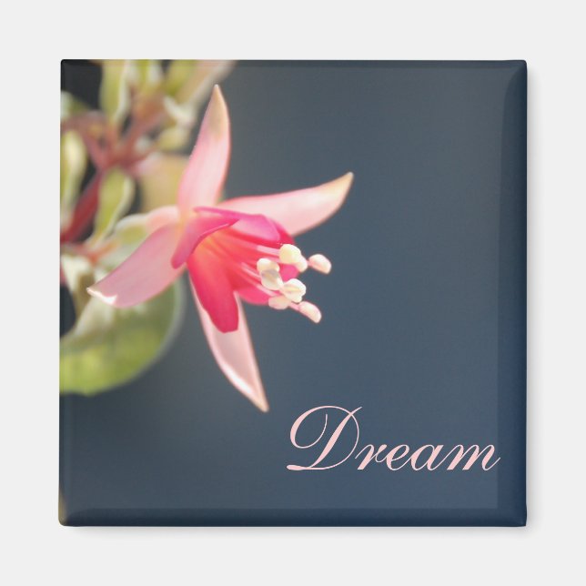 Dream Magnet (Framsidan)