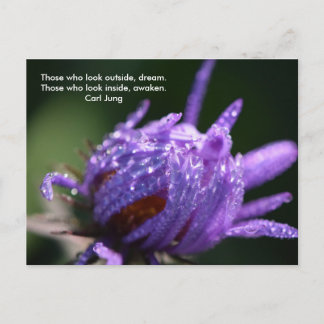 Dream och Awaken Vykort