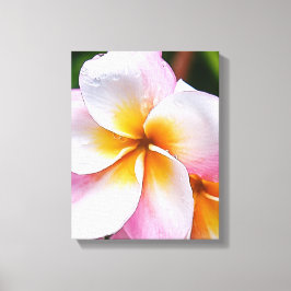 Dream Palette:  franjipani flower Canvastryck