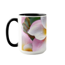 Dream Palette: Franjipani flower