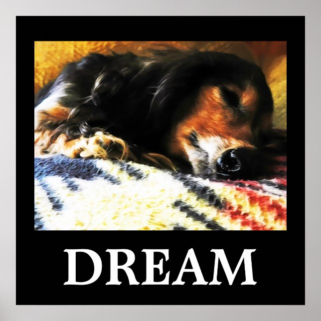 Dream Poster (Framsidan)