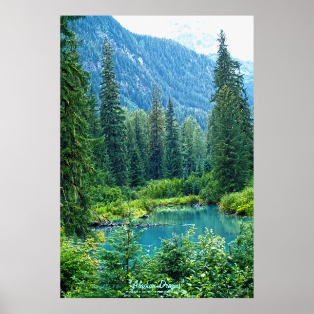 Dream Sjö Alaska, USA och Forested Mountains Photo Poster (Framsidan)
