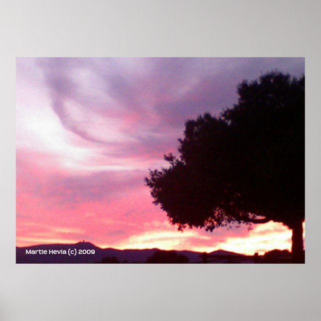 Dream Sunset Träd Poster (Framsidan)
