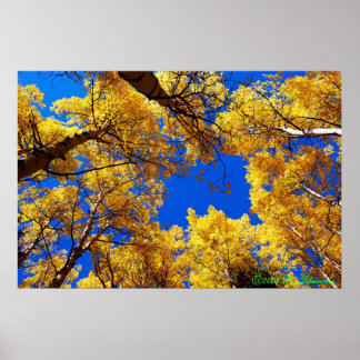 Dreaming i färg poster