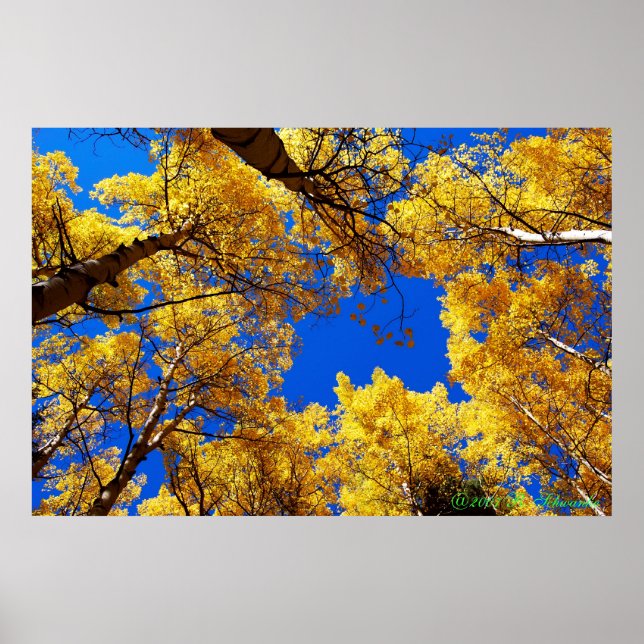 Dreaming i färg poster (Framsidan)