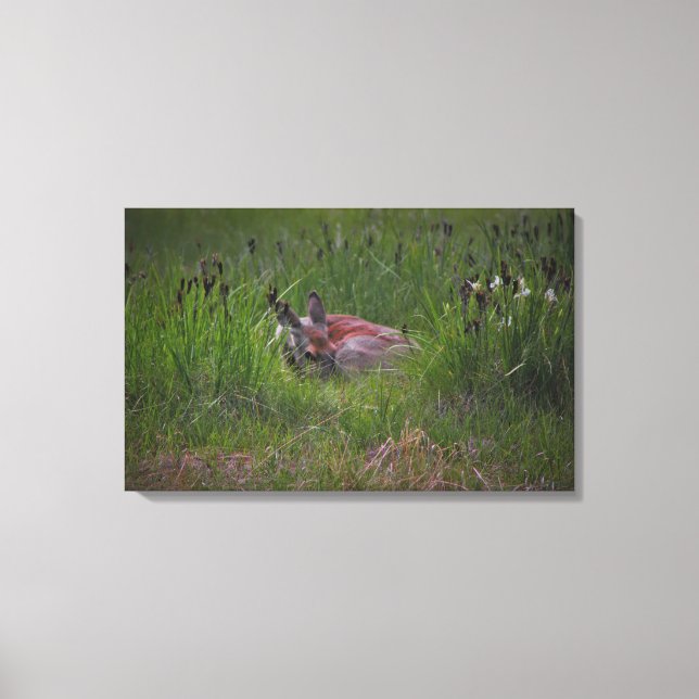 Dreamland Canvastryck (Framsida)