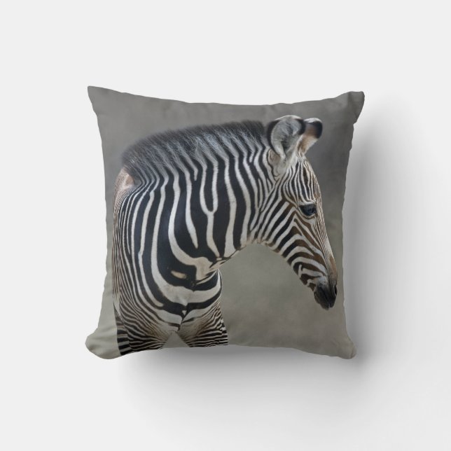 Dreams in Black and White Pillow Kudde (Framsida)
