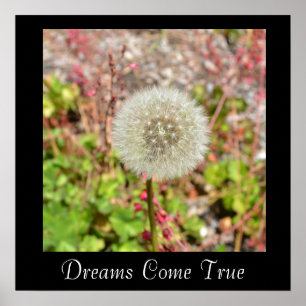 Dreams Kom True Inspirational Poster