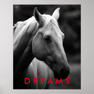 Dreams Motivational Black White Closeup Horse Poster