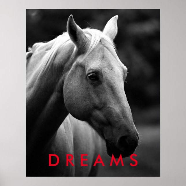 Dreams Motivational Black White Closeup Horse Poster (Framsidan)