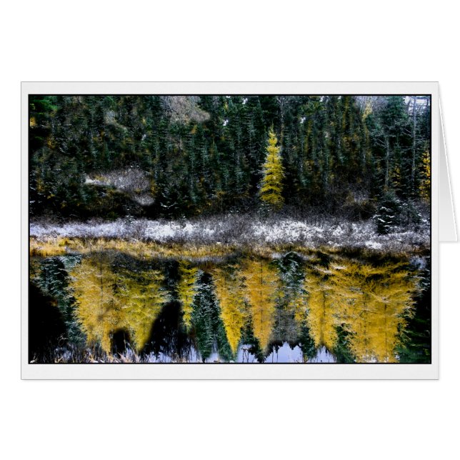 Dreams of a Young Tamarack Hälsningskort (Framsidan Horizontal)