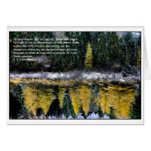 Dreams of a Young Tamarack