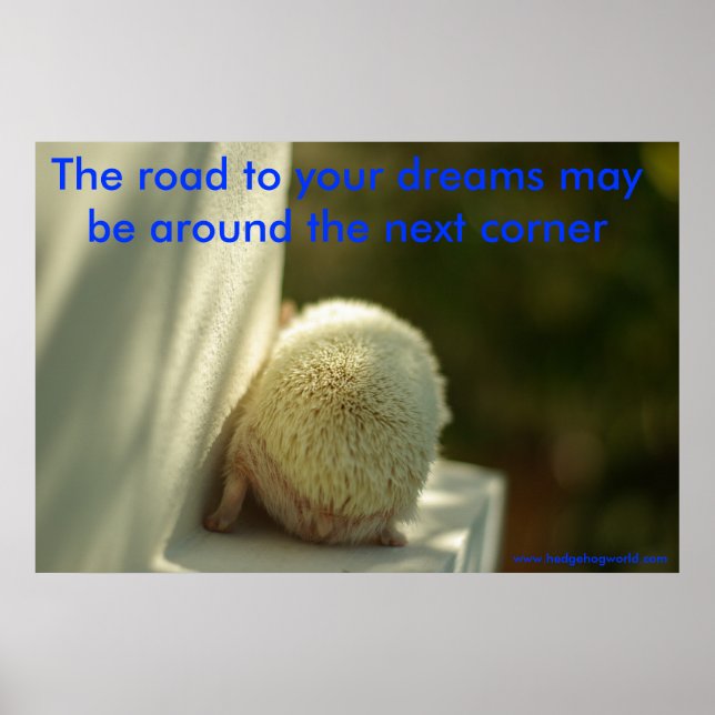 Dreams poster (Framsidan)