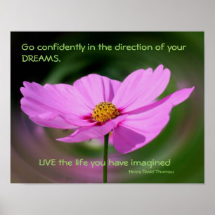 Dreams Quote Cosmos Flower Inspirational Poster
