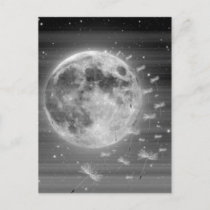 Dreams that Fly Postcard Vykort