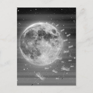 Dreams that Fly Postcard Vykort