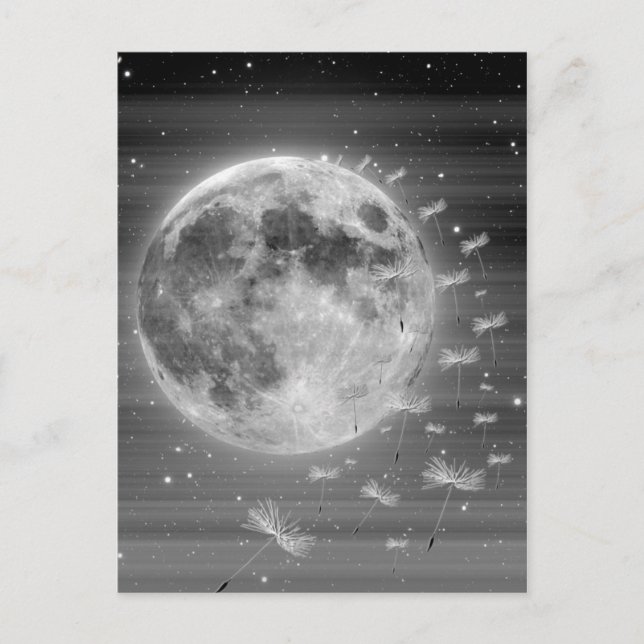 Dreams that Fly Postcard Vykort (Framsida)