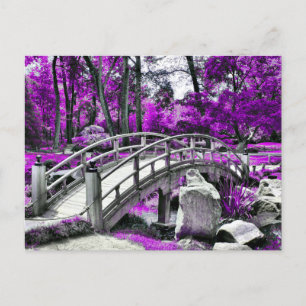 Dreamscape Lila Forest Vykort
