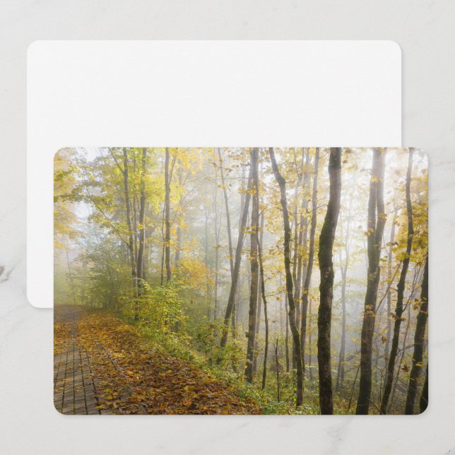 Dreamy autumn park julkort (Fram/baksida)