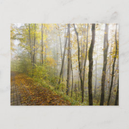 Dreamy autumn park vykort