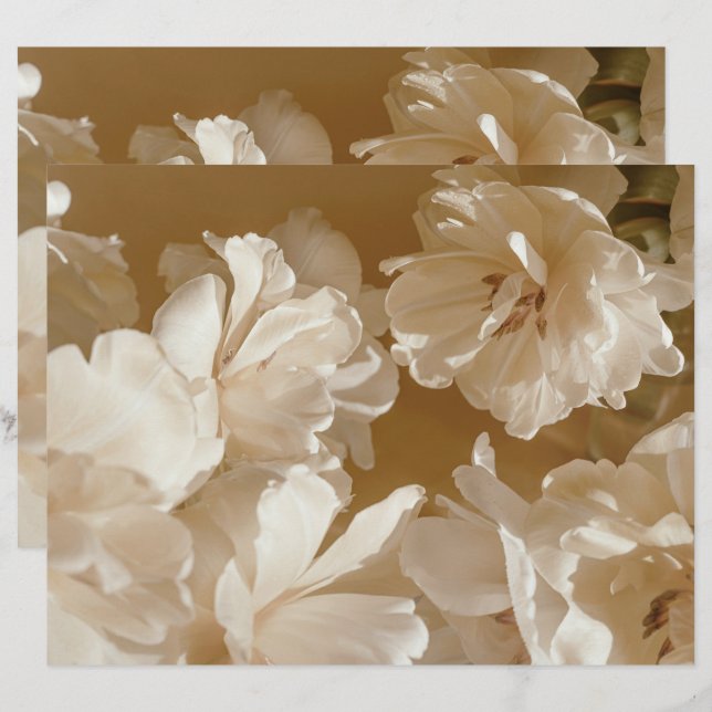 Dreamy beige floral Elegant Scrapbook Paper (Fram/baksida)