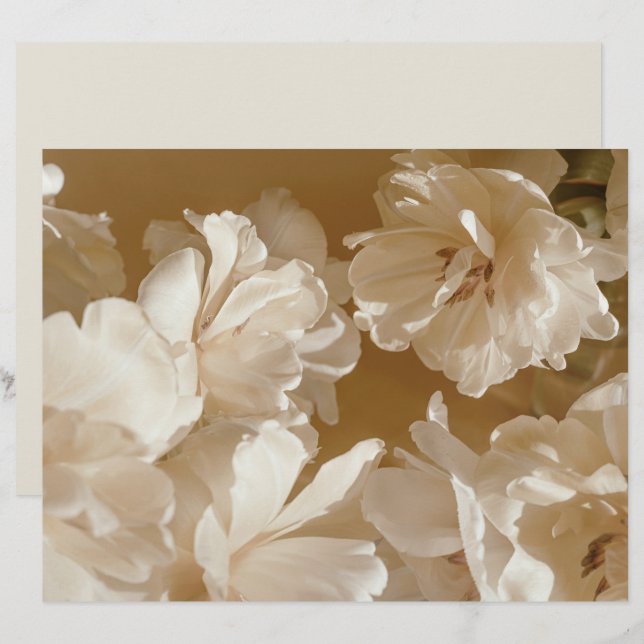 Dreamy beige floral Elegant Scrapbook Paper (Fram/baksida)