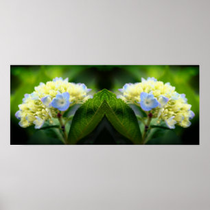 Dreamy Blue Hydrangea Flower Spegel Abstrakt Poster