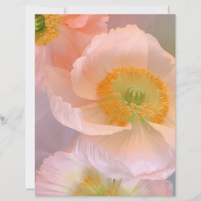 Dreamy Brevhuvud (Framsida)