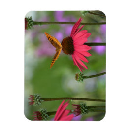 Dreamy Butterfly On Coneflower Magnet