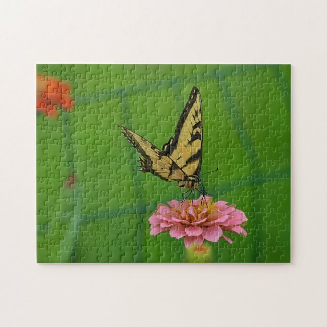 Dreamy Butterfly On Rosa Zinnia Pussel (Horisontell)