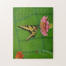 Dreamy Butterfly On Rosa Zinnia Pussel