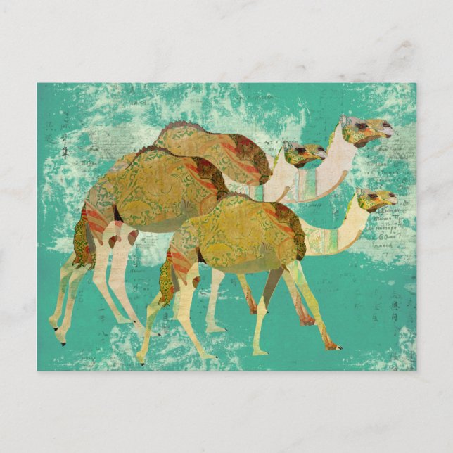 Dreamy Camels vykort (Framsida)