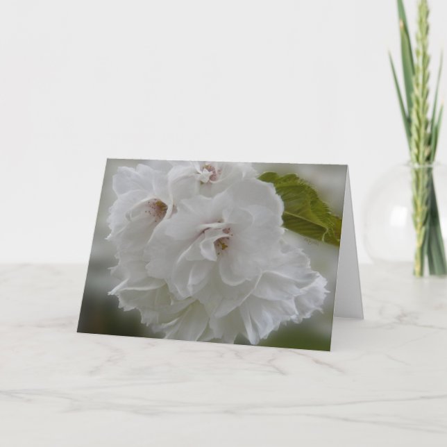 Dreamy Cherry Blommars AH2010 Kort (Framsida)