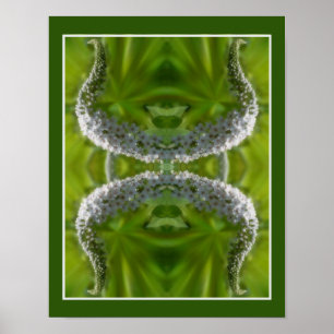 Dreamy Curling White Vild Flower Abstrakt Poster