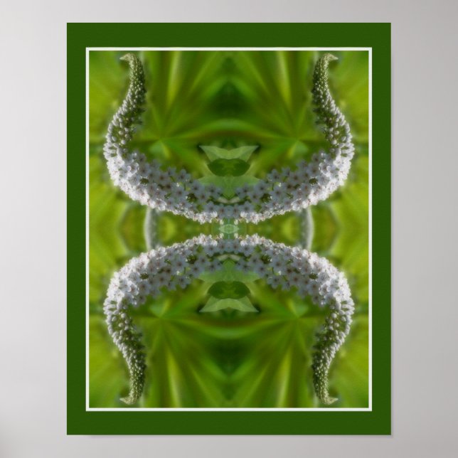 Dreamy Curling White Vild Flower Abstrakt Poster (Framsidan)