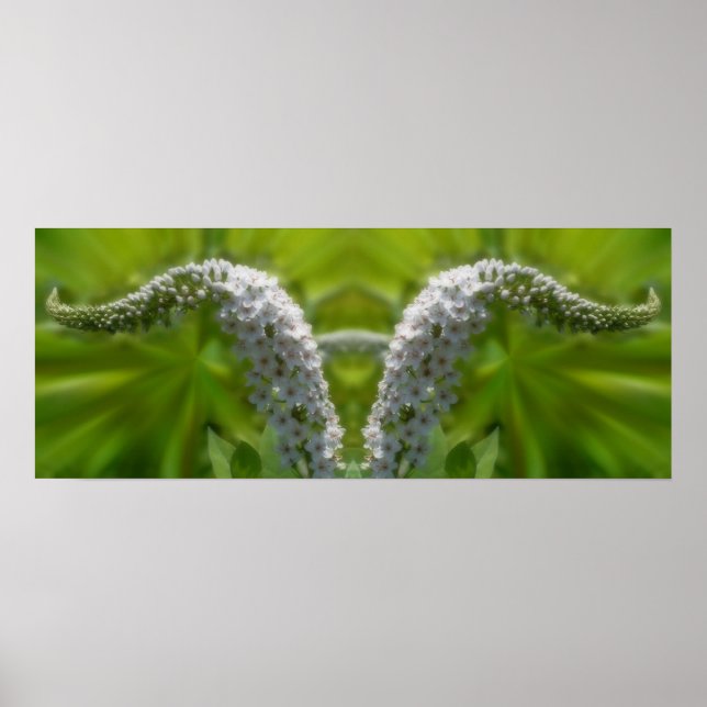 Dreamy Curling White Wildblomme Spegel Abstrakt Poster (Framsidan)