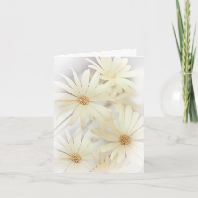 Dreamy Daises 2 Kort (Framsida)