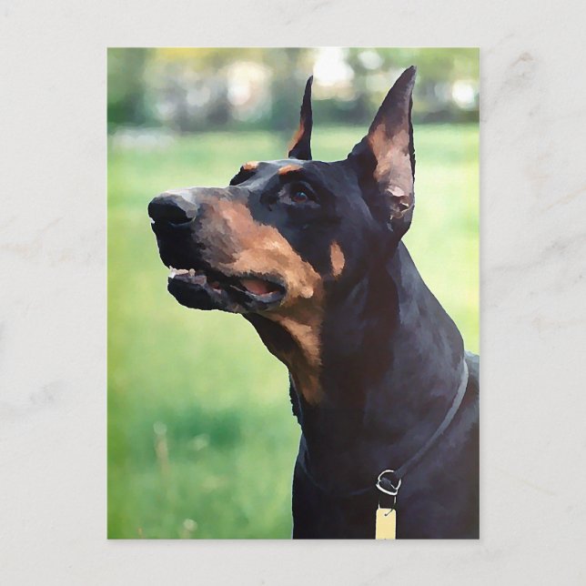 Dreamy Doberman Pinscher Ansikte Painting Vykort (Framsida)
