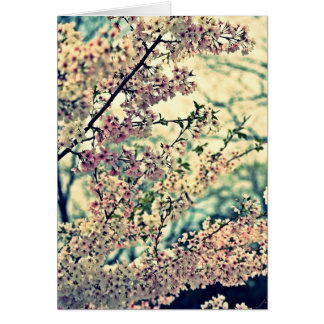 Dreamy Explosion (tom insida) Hälsningskort