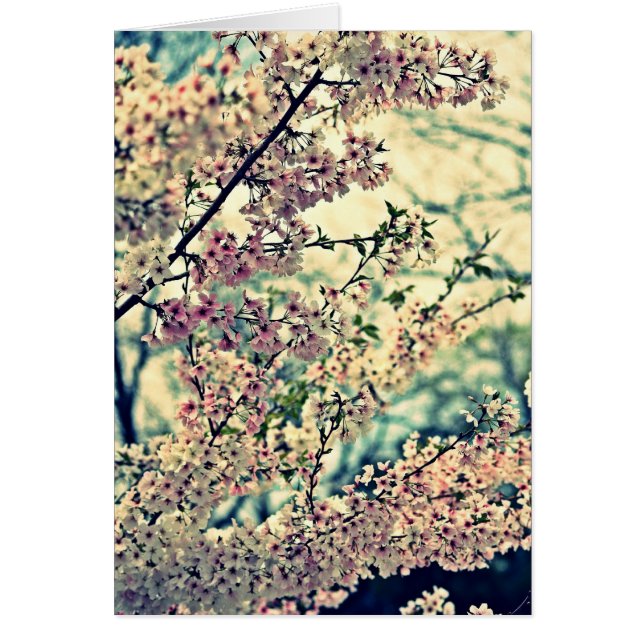 Dreamy Explosion (tom insida) Hälsningskort (Framsidan)