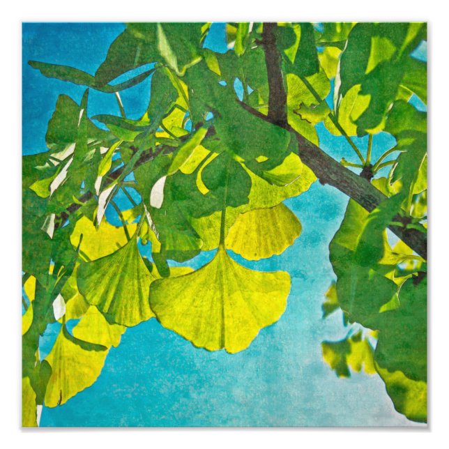 Dreamy Fläkt Fototryck (Framsidan)