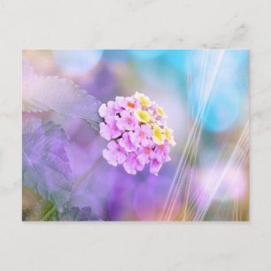 Dreamy Flower Vykort