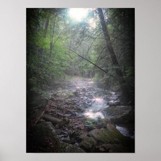 Dreamy Forest Light Poster (Framsidan)