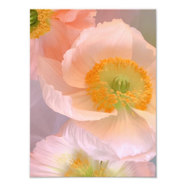 Dreamy Fototryck (Framsidan)